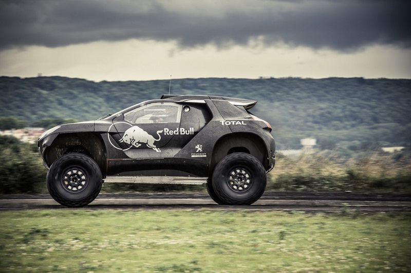 2008 DKR test1 f800.jpg