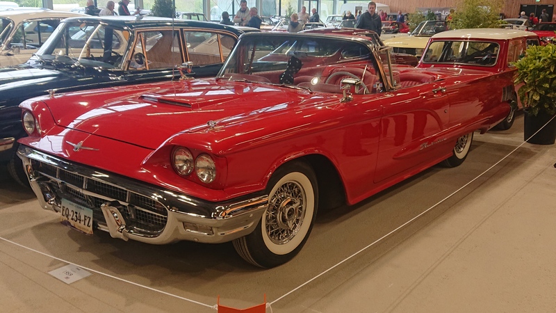 Ford Thunderbird 1959_1.JPG