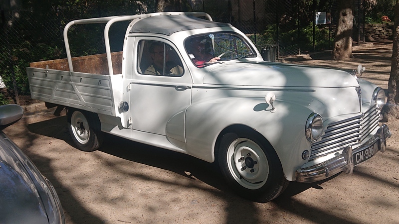 Peugeot 203 U plateau_a.JPG
