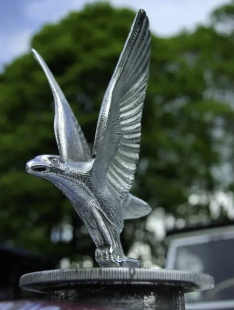 00000000000000000000000000 1.jpg