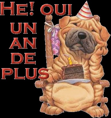 Oui!-Un-an-de-plus.jpg