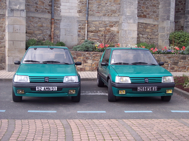 205 GTI GRIFFE Romuald.jpg