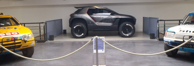 2008 DKR a800.jpg